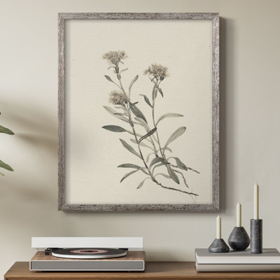 Impression florale vintage encadrée CXCIX - bois massif