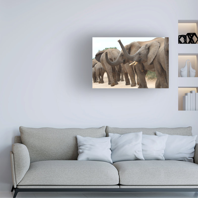 Art sur toile éléphant, Bob Bob Langrish, H 12 po x l 19 po