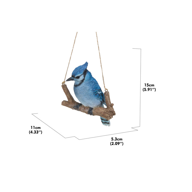 Hanging Jay on a Branch