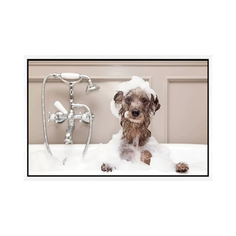 Funny Dog Taking Bubble Bath by Susan Schmitz - Print on Canvas, White Framed, 66.04 cm H x 45.72 cm W