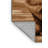 Washable Burmese Cats Area Rug-1523511358