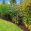 82cm H x 300cm W Metal Border Fencing