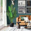 Plante de 19,7 po