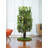 Dinuk 60'' H Cat Tree