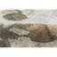 Area Rug-1875690279
