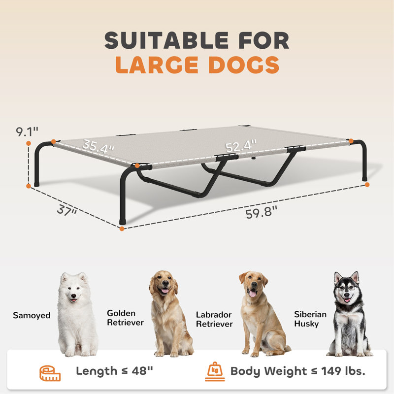 Grand lit pour animal de compagnie, lit surélevé pour chien