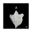 « true », impression sur toile-72565510-72565509-72565512