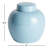 Francina Handmade Ceramic Ginger Jar-117151497-74127190