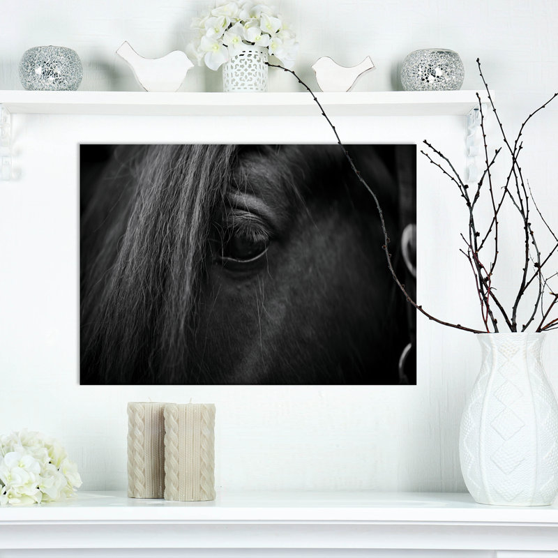Œil d'un cheval - reproduction de photo sur toile tendue, H 20 po x l 20 po x P 1 po