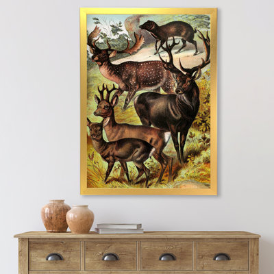 " Vintage Mammals I " Painting Print