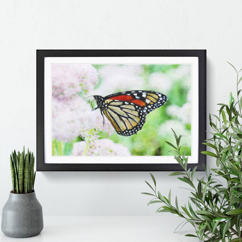 Monarch Butterfly - Picture Frame Graphic Art, 27cm H x 36cm W x 2cm D, Black