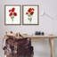Ensemble de 2 toiles flottantes Poppy Bunch Study, conception par Danielle Murray-1970561319-1970561320