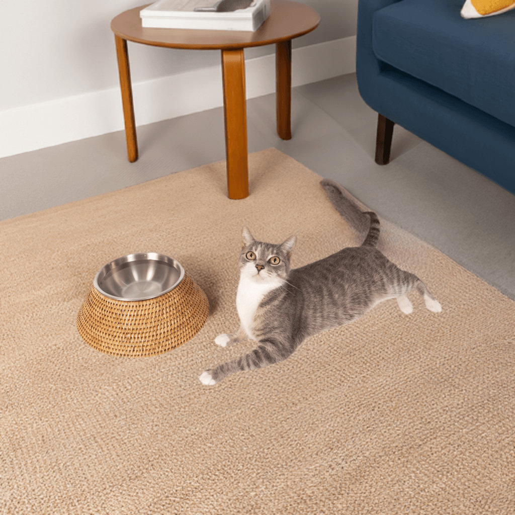 Artifacts Rattan™ Pet Bowl