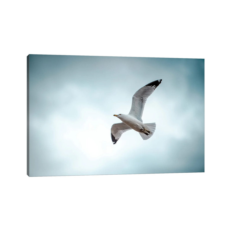 Seagull at the Take off 1 Piece Wrapped Canvas Wall Art, 30.48 cm H x 45.72 cm W