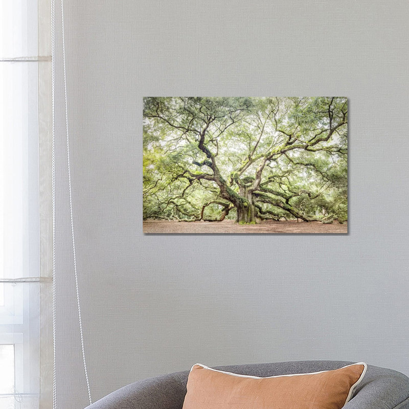 Angel Oak Tree by Apryl Roland - Wrapped Canvas Gallery-Wrapped Canvas Giclée, 45.72 cm H x 66.04 cm W