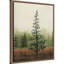 «Young Evergreen II» par Grace Popp, reproduction d'art sur toile encadrée-109519646