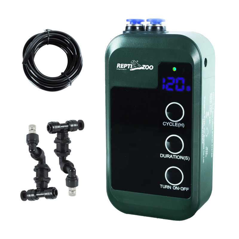 Ensemble de démarrage pour reptile 2,6 po x 1,2 po x 4,5 po
