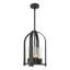 Triomphe 4 - Light Outdoor Hanging Lantern-316390612-316390616