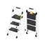 Steel Step Stool