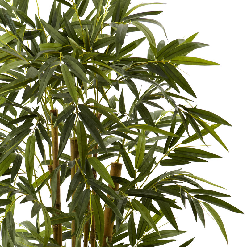 Thisbe 66'' Faux Bamboo Tree in Wood Planter