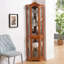 Armoire vitrée pour rangement en coin-1087669495