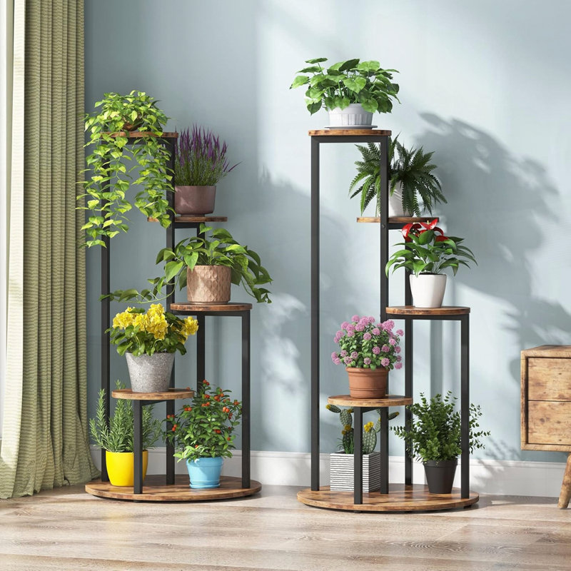 Présentoir botanique d'intérieur à quatre niveaux