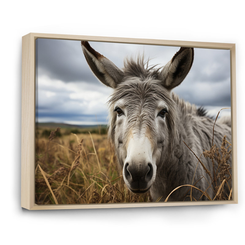 «Grey Donkey Gentle Companion», reproduction sur toile, H 34 po x l 44 po x P 1,5 po, Cadre naturel flottant