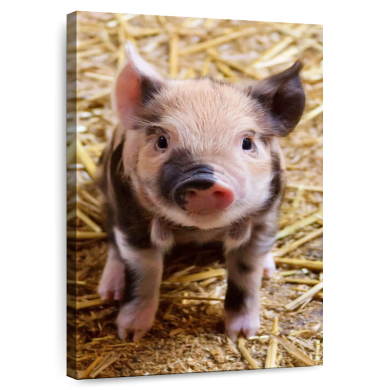 Brampt Farm Piglet, 12" H x 8" W