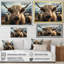 Majestic Highlands Yaks sur toile-97033799-97033800