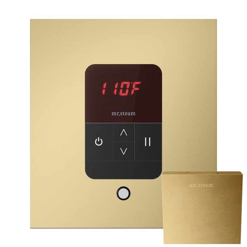 Steam Generator Control, Satin Brass