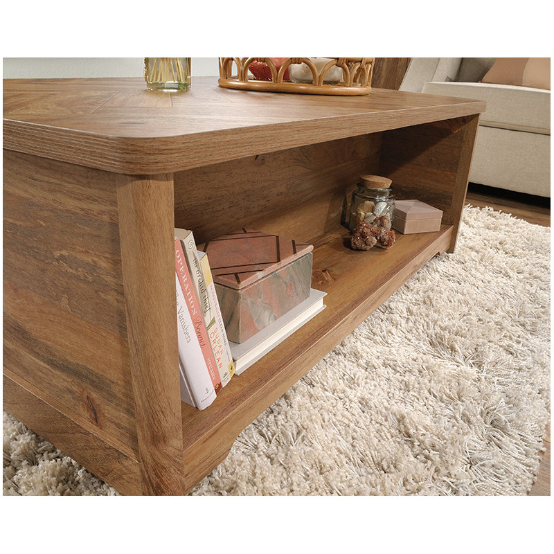 Lowyn Modern Rectangular Coffee Table with Storage