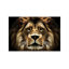 The Lion by SD Smart - Wrapped Canvas Print-49988006