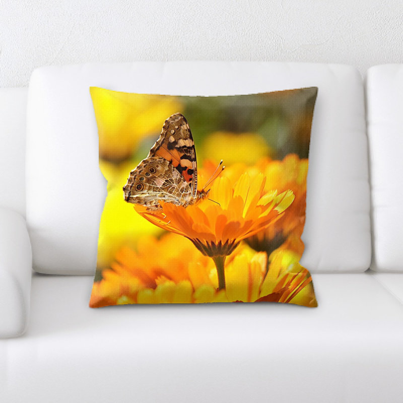 Coussin décoratif papillon