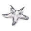 Starfish Dish