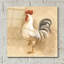  «Farm Friend 4» par Albena Hristova, art mural en verre acrylique, 24 po x 24 po-104059831
