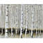 Napperon Winter Winter Landscape
