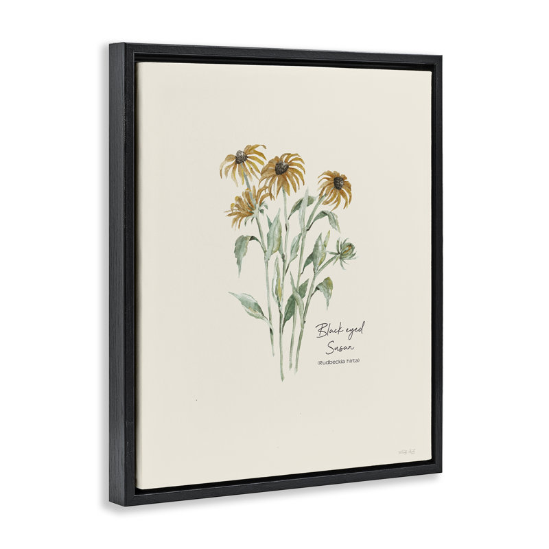 «Black Eyed Susans» par Cindy Jacobs, Cadre flottant noir de jais, H 21 po x l 17 po