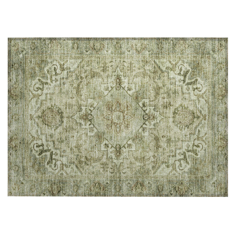 Machine Washable Indoor/Outdoor Colman ACN2164 Global Rug