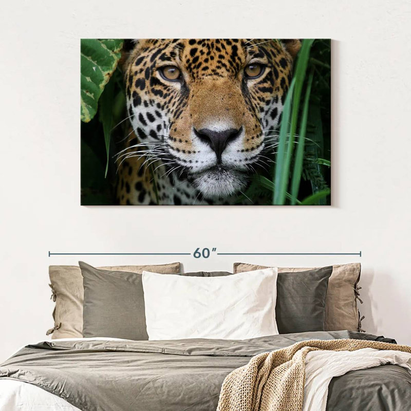 Jaguar de la jungle amazonienne Brampt, H 32 po x l 48 po