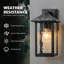Matte Black 30cm H Outdoor Sconce