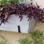 Boîte à fleurs en acier galvanisé Paxtonia-434786158