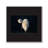 " H02 A Bird Standing "-96984859-96984861