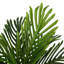 70cm Plant