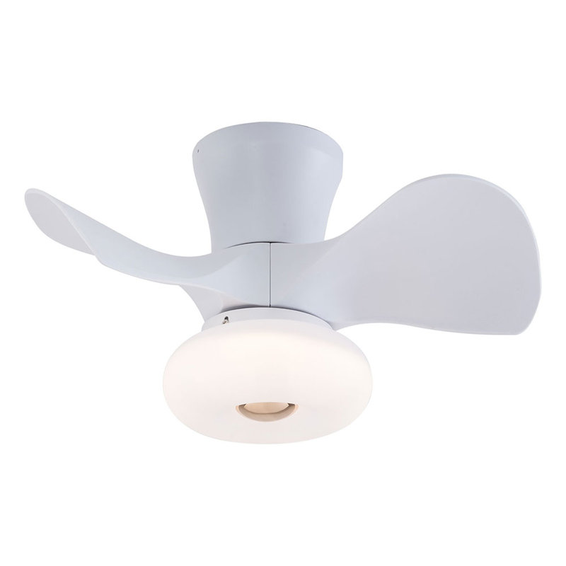 Ventilateur de plafond à DEL 22 po