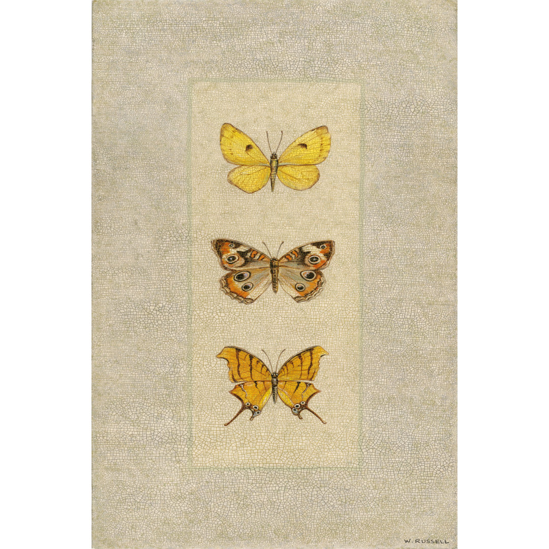 Leinwandbild Butterfly Trio I