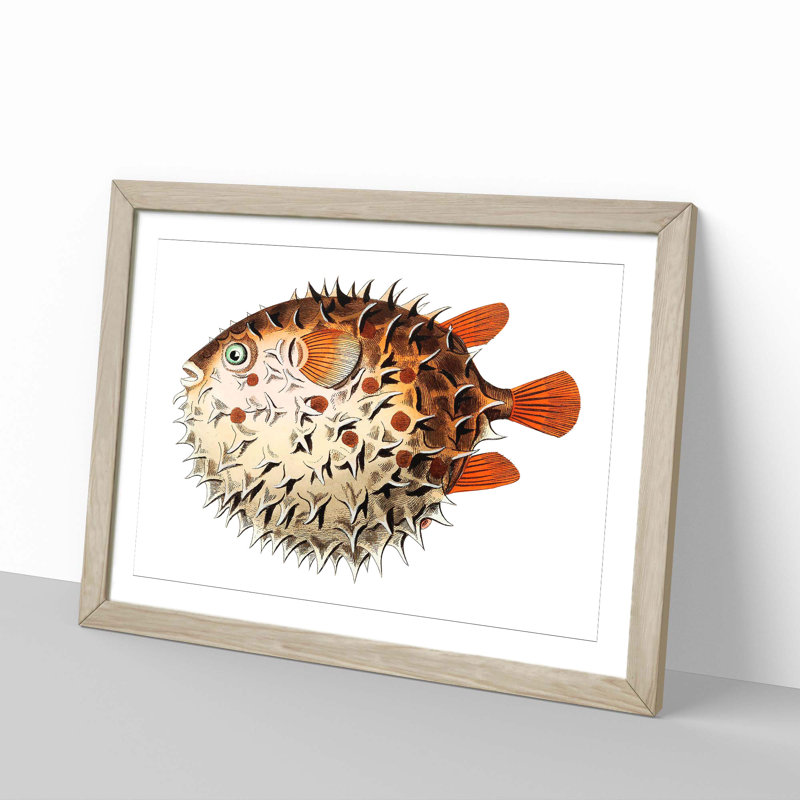 Balloon Fish by George Shaw - Framed Print, 35cm H x 50cm W x 2cm D, Oak