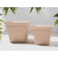 Saltsman Pot Planter-40554349