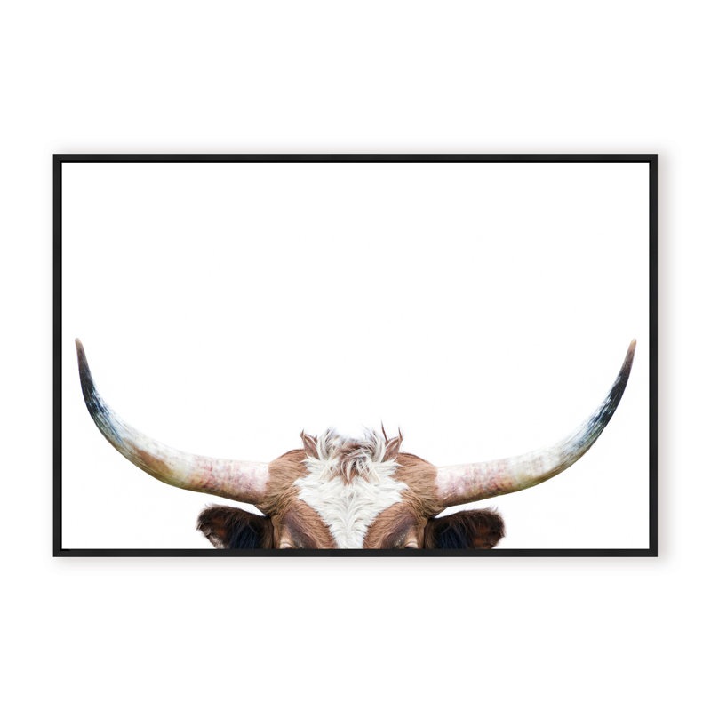 Nature Inspired Peeking Longhorn Cow by  - Picture Frame Photograph on Paper, 16" H x 24" W x 1.125" D, Black