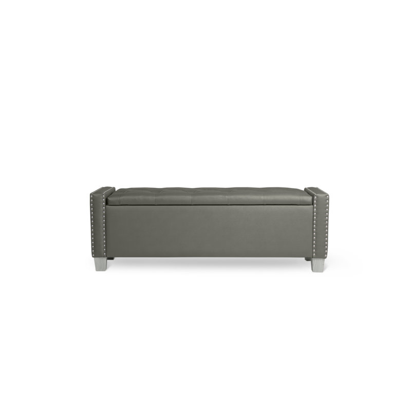 Thecle Upholstered Storage Bench, Dark Gray