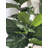 Fiddle 96'' Faux Fiddle Leaf Fig Tree in Metal Planter-98582417-98582419